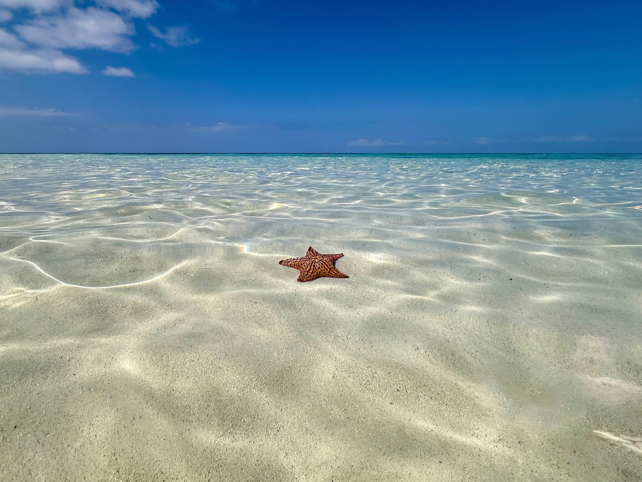 Coastal & Seascape — Pacific, Caribbean & Gulf Waters. San Diego, CA · St. Maarten · St. Thomas · East Cape, Mexico. Fine art photography by Aaron B. Alford Sr.