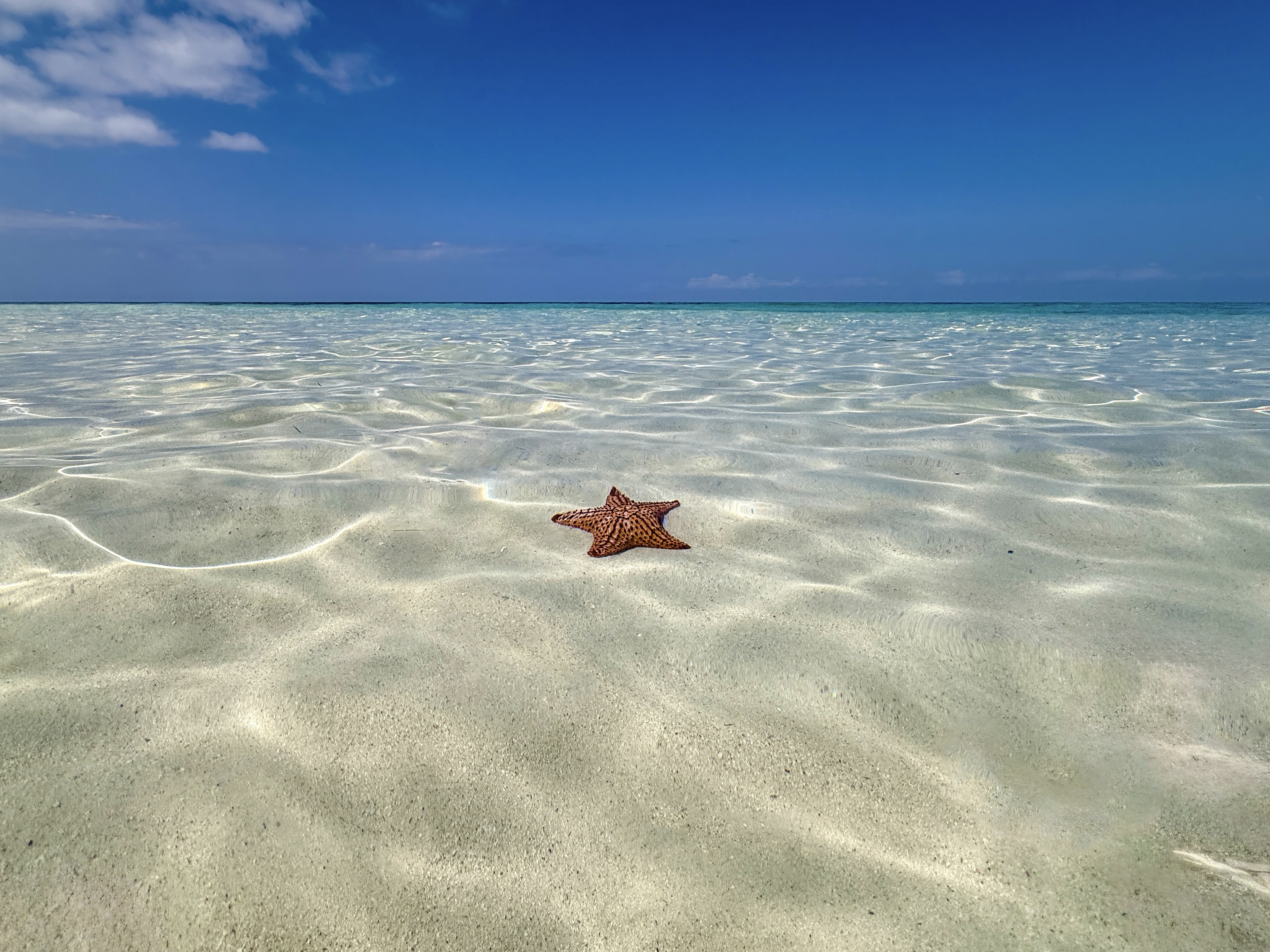 Coastal & Seascape — Pacific, Caribbean & Gulf Waters. San Diego, CA · St. Maarten · St. Thomas · East Cape, Mexico. Fine art photography by Aaron B. Alford Sr..